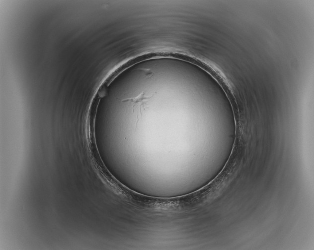 X0000116300887200912071246