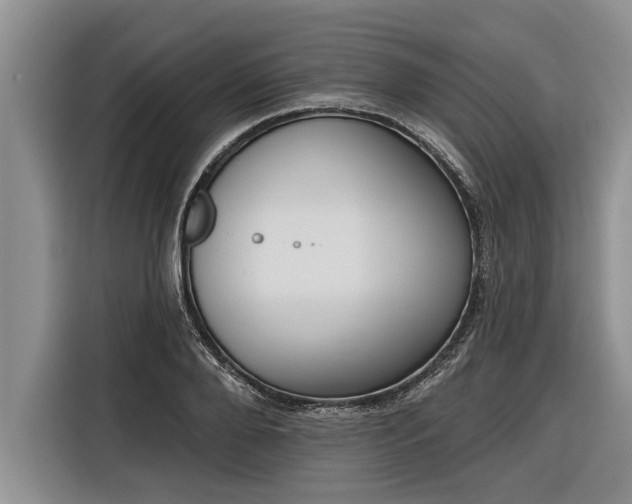 X0000116300888200912071246