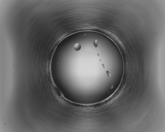 X0000116300889200912071246