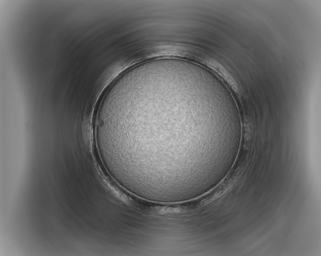 X0000116300890200912071246