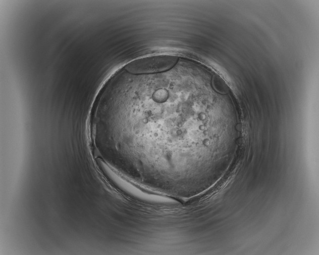 X0000116300891200912071246