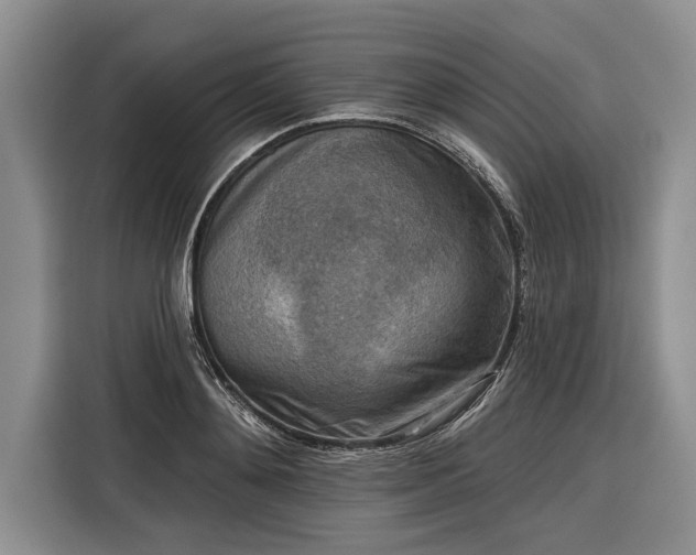 X0000116300892200912071246