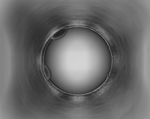 X0000116300893200912071246