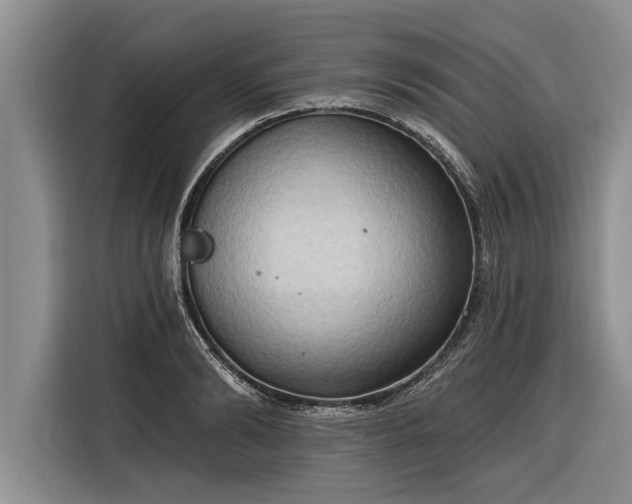 X0000116300894200912071246