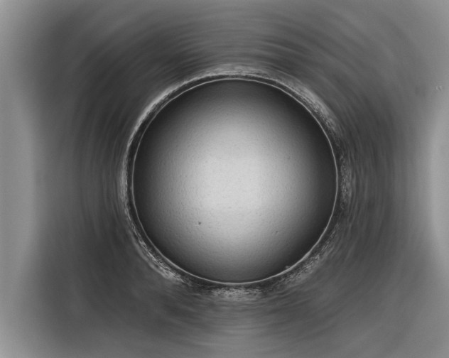 X0000116300896200912071246