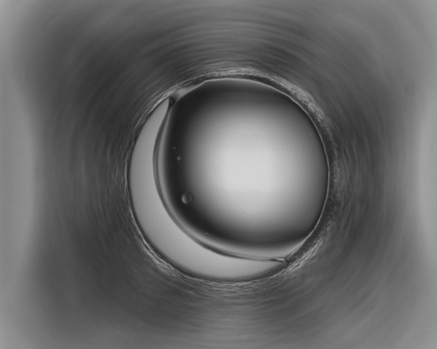 X0000116300897200912071246