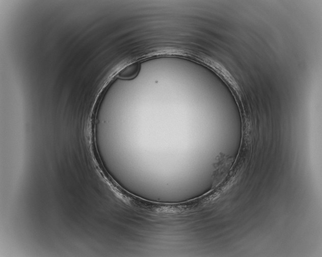 X0000116300898200912071246