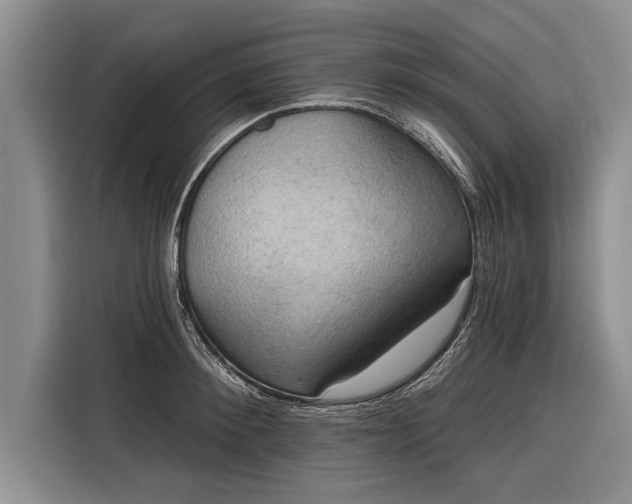 X0000116300900200912071246