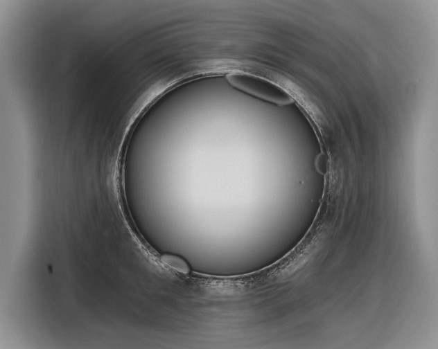 X0000116300901200912071246