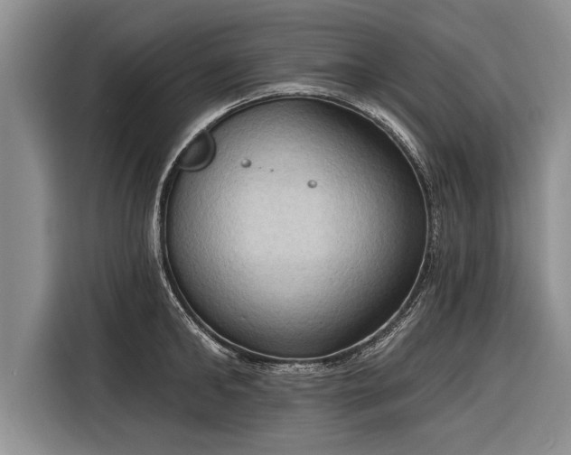 X0000116300902200912071246