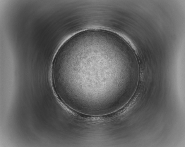 X0000116300903200912071246