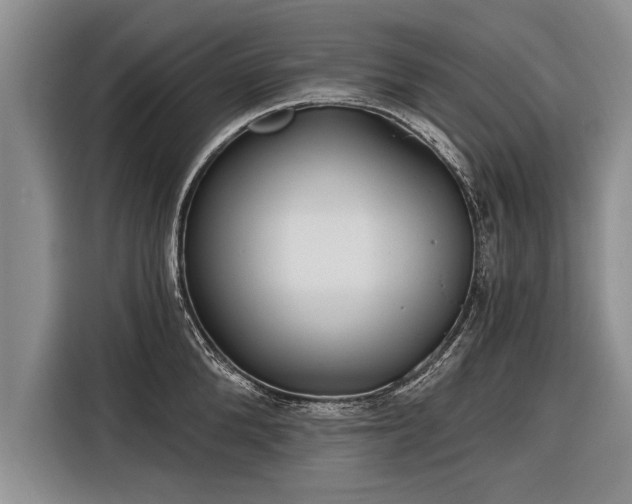 X0000116300904200912071246