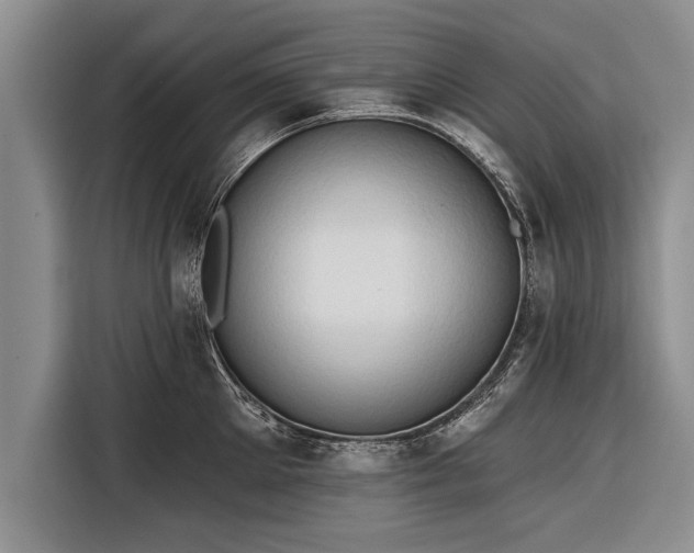 X0000116300905200912071246