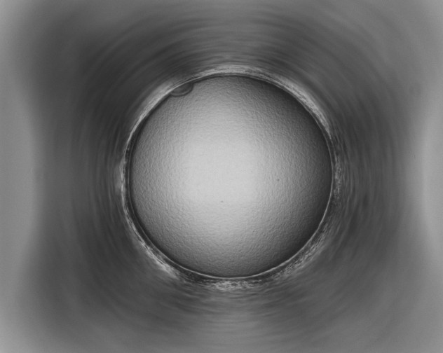 X0000116300906200912071246