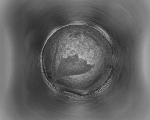 X0000116300907200912071246