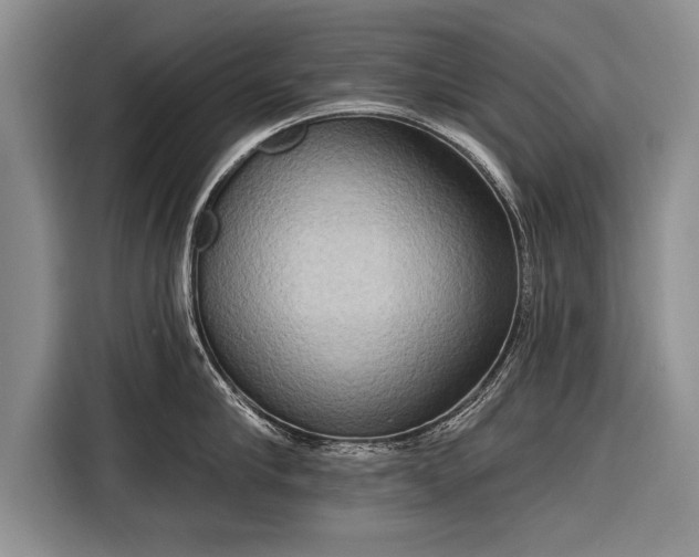 X0000116300910200912071246