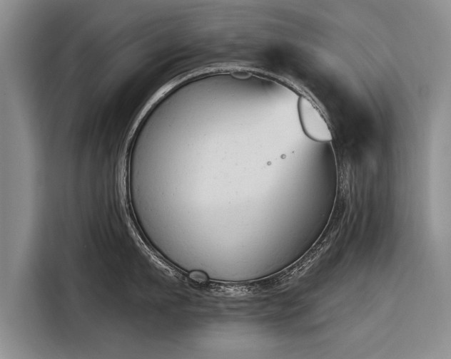 X0000116300911200912071246