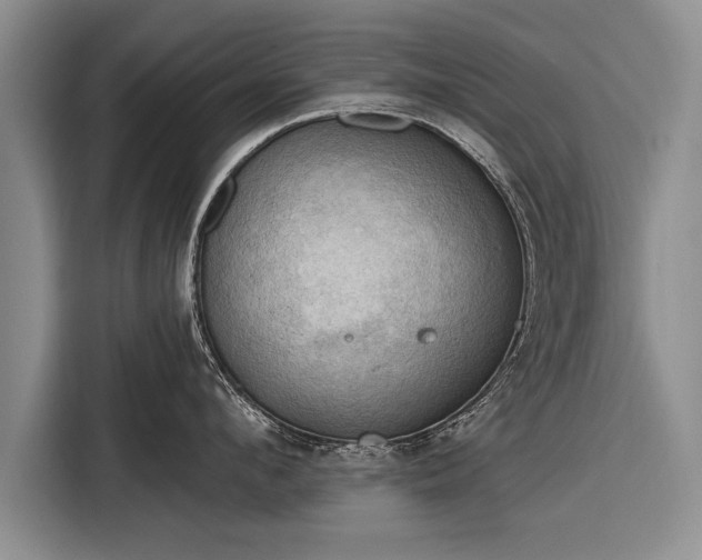 X0000116300912200912071246