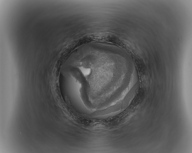 X0000116300913200912071245