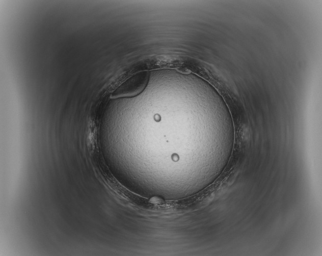 X0000116300914200912071245