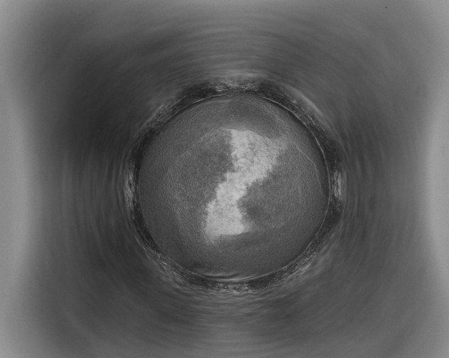 X0000116300915200912071245