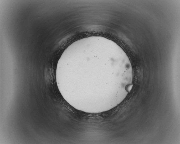 X0000116300918200912071245