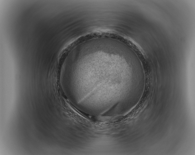 X0000116300919200912071245