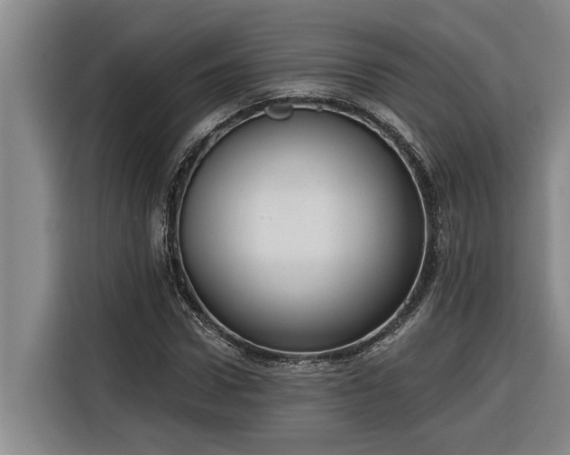 X0000116300922200912071245