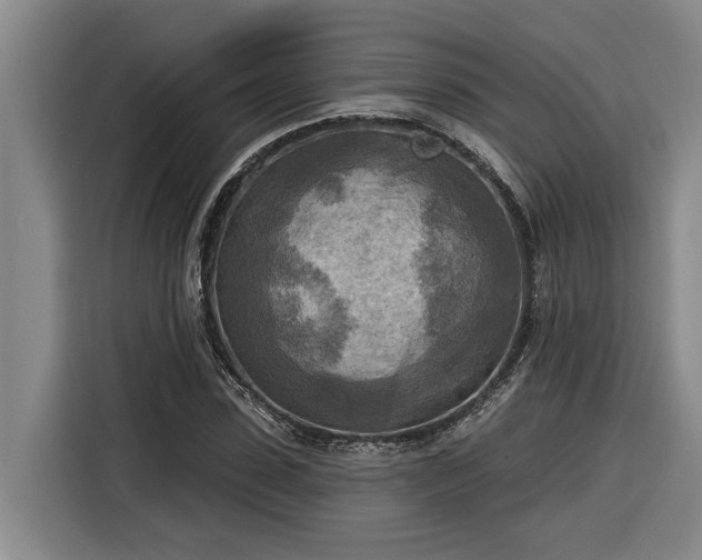 X0000116300923200912071245