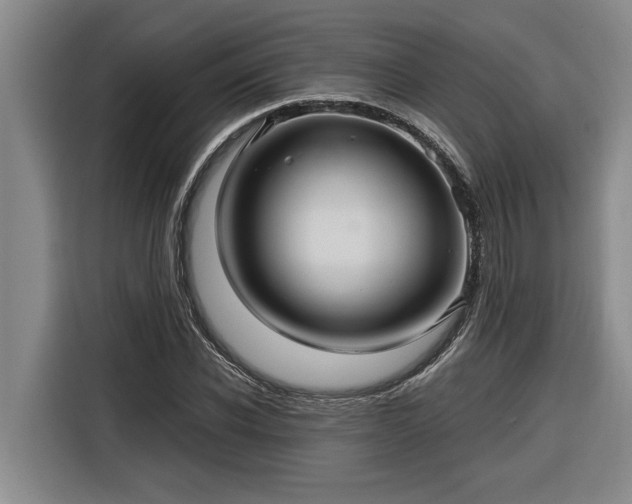 X0000116300926200912071245