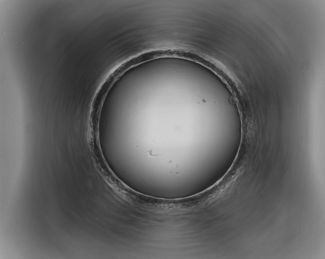 X0000116300927200912071245