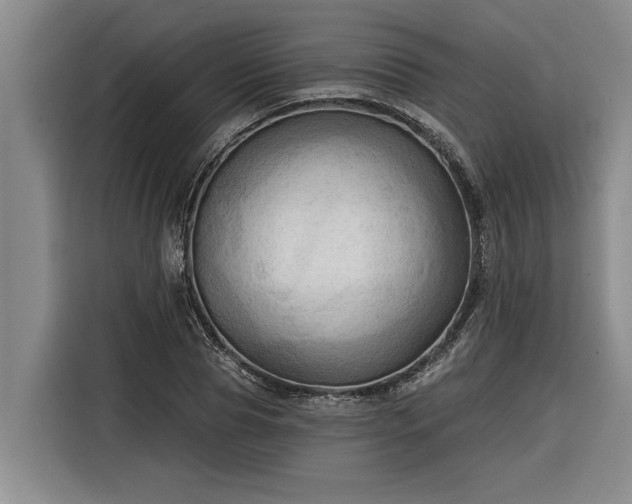 X0000116300929200912071245