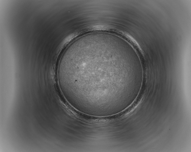 X0000116300930200912071245