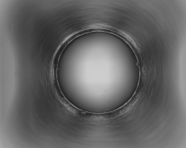 X0000116300931200912071245