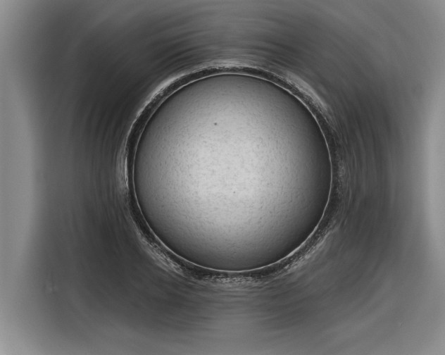 X0000116300934200912071245