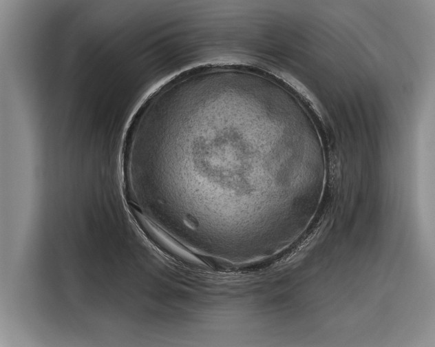 X0000116300935200912071245