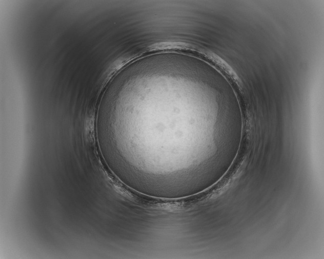 X0000116300937200912071245