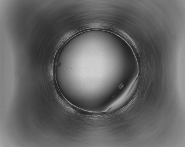 X0000116300938200912071245