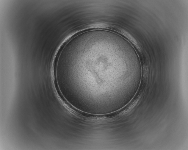 X0000116300939200912071245