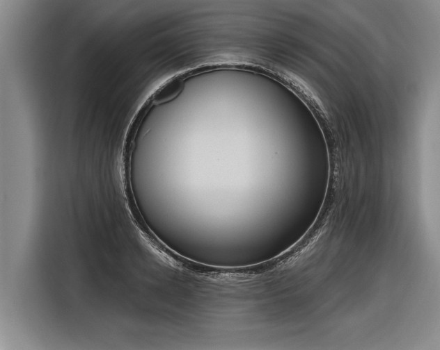 X0000116300942200912071246