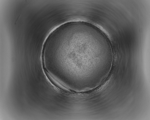 X0000116300943200912071246