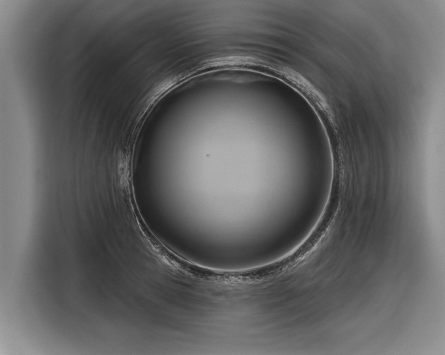 X0000116300945200912071246