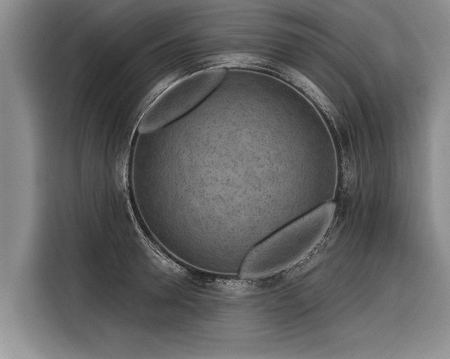 X0000116300946200912071246