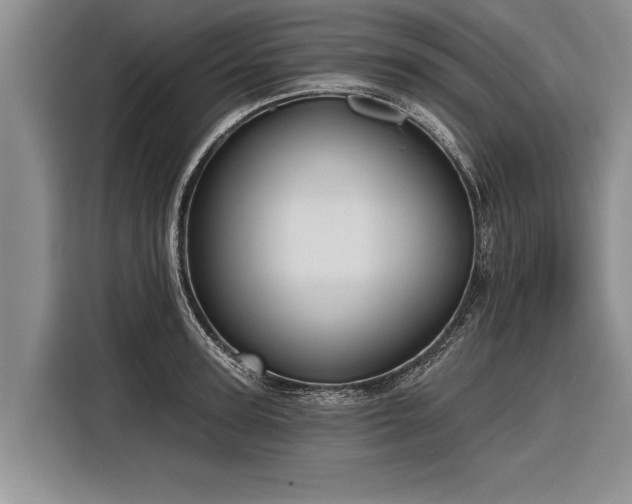 X0000116300947200912071246