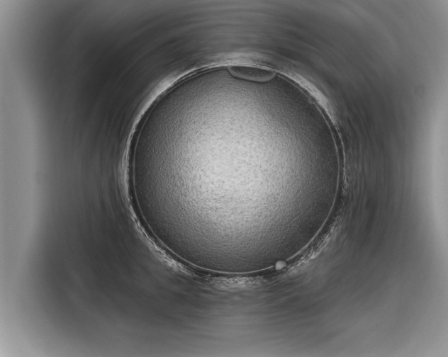 X0000116300949200912071246