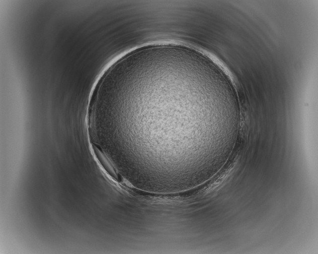 X0000116300951200912071246