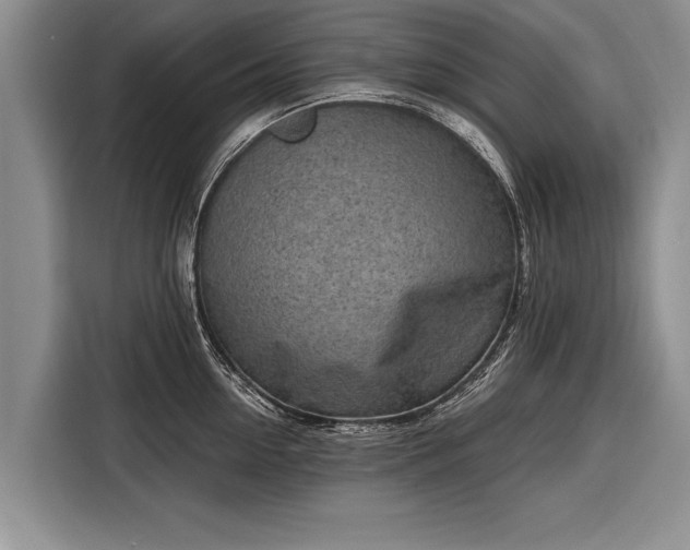 X0000116300954200912071246