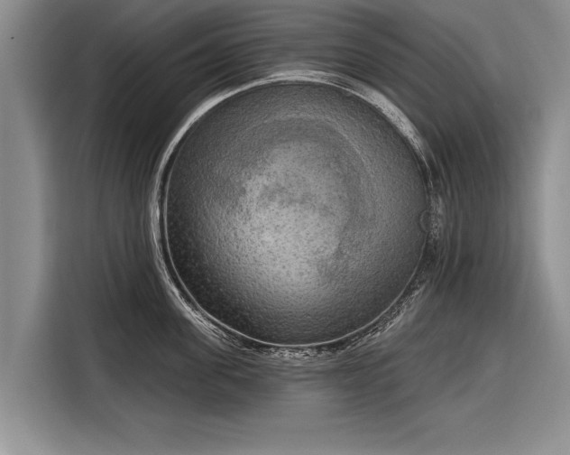 X0000116300955200912071246