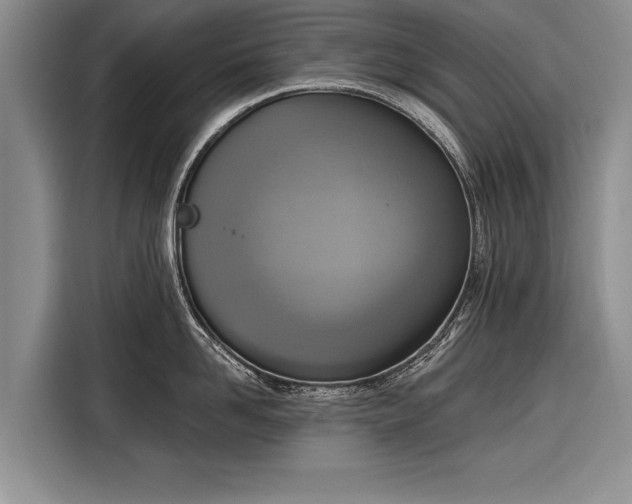 X0000116300958200912071246