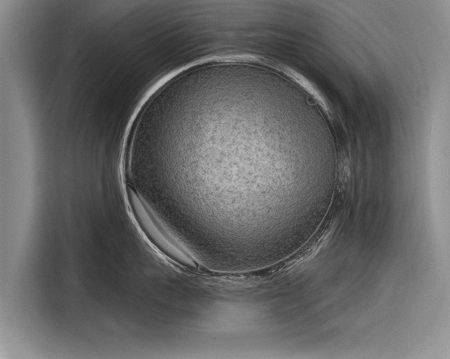 X0000116300959200912071246